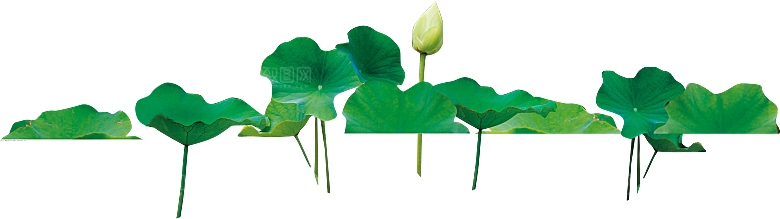 唯美古风水彩手绘荷花荷叶古典水墨莲花素材