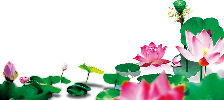 唯美古风水彩手绘荷花荷叶古典水墨莲花素材
