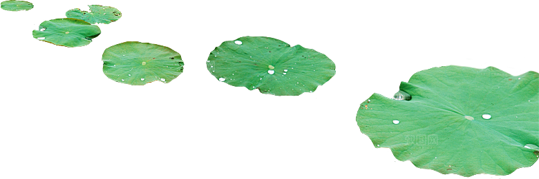 唯美古风水彩手绘荷花荷叶古典水墨莲花素材