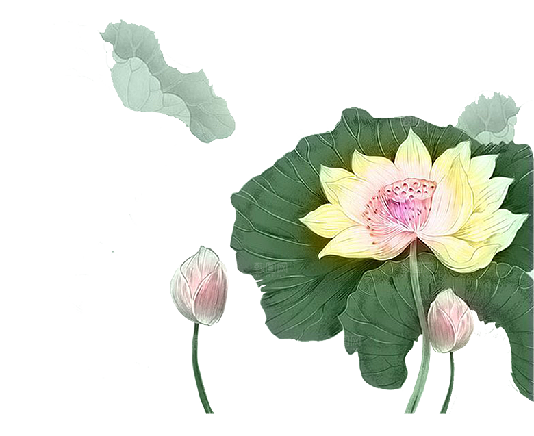 唯美古风水彩手绘荷花荷叶古典水墨莲花