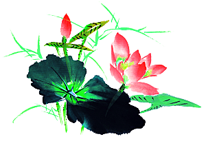 唯美古风水彩手绘荷花荷叶古典水墨莲花