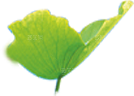 唯美古风水彩手绘荷花荷叶古典水墨莲花