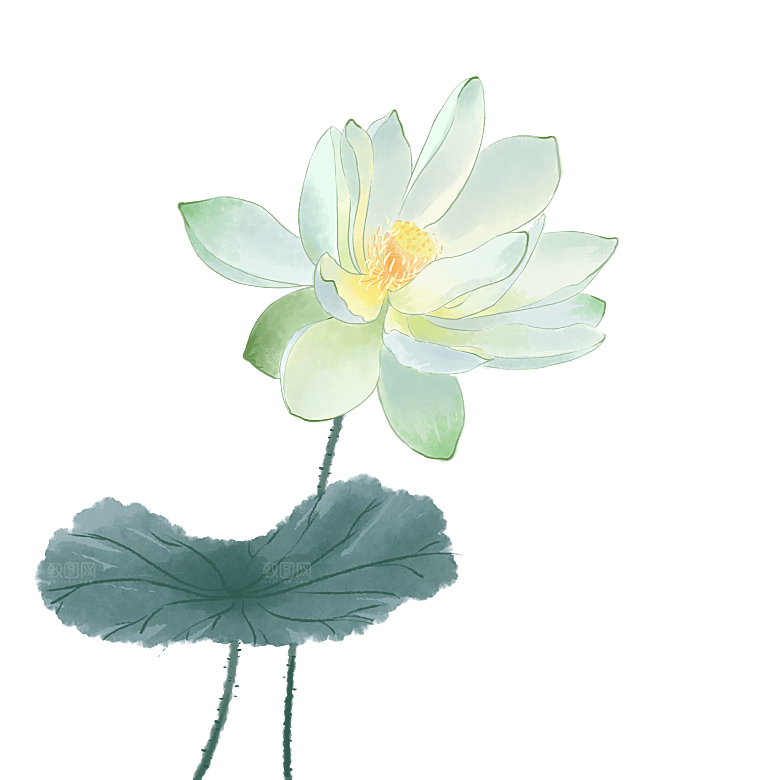 唯美古风水彩手绘荷花荷叶古典水墨莲花
