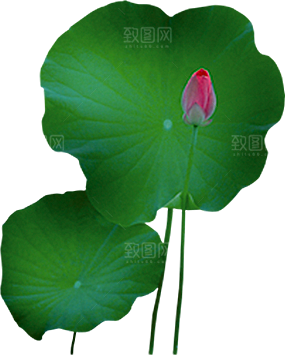 唯美古风水彩手绘荷花荷叶古典水墨莲花