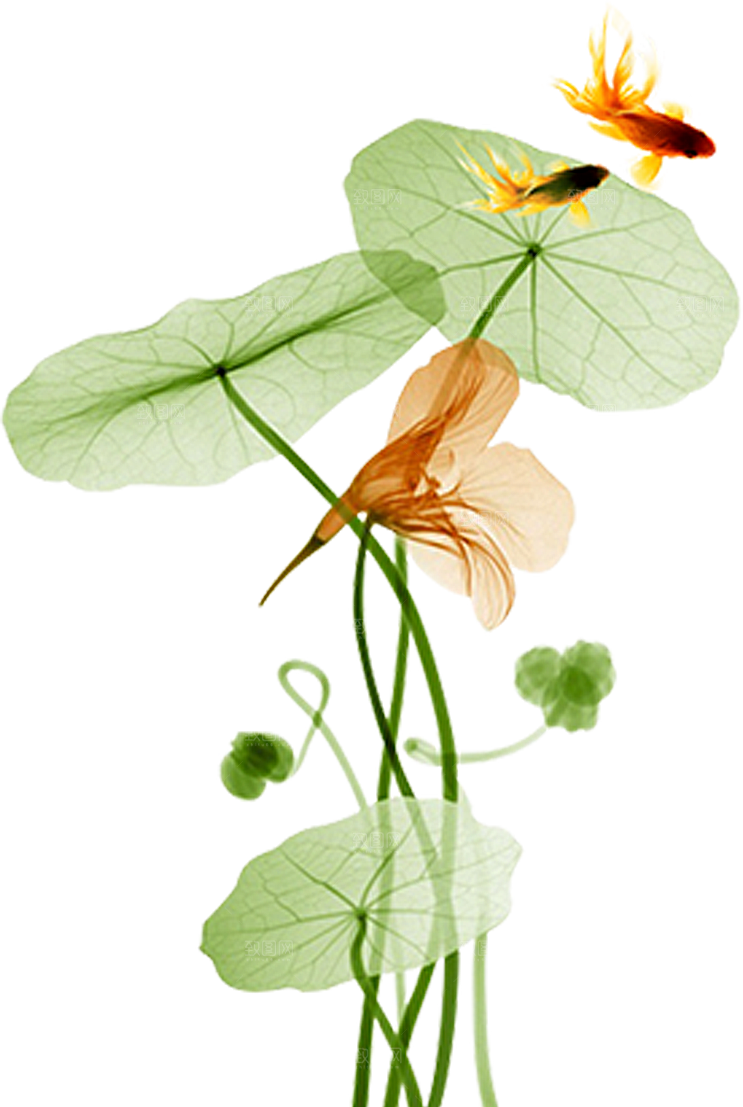 唯美古风水彩手绘荷花荷叶古典水墨莲花