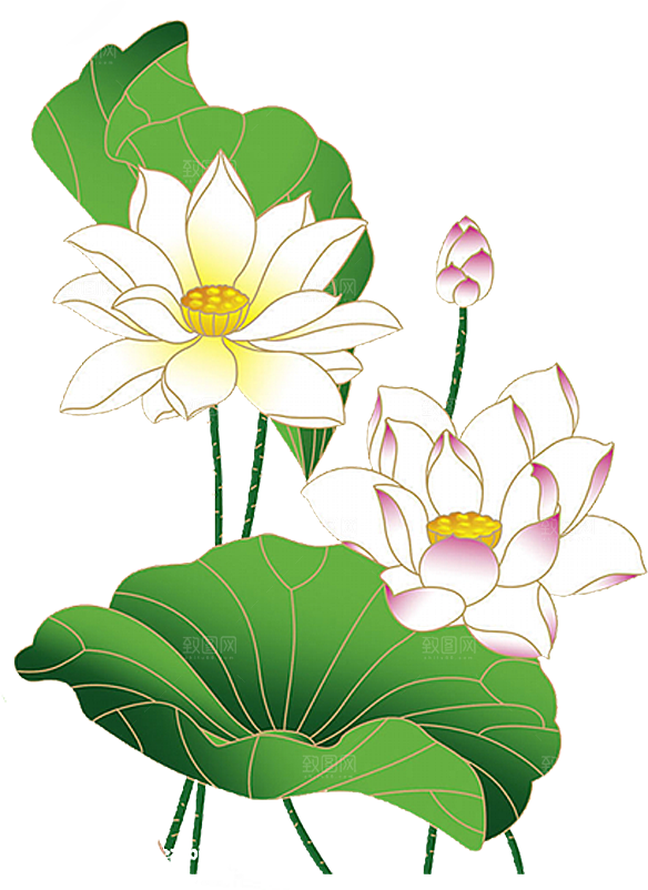 唯美古风水彩手绘荷花荷叶古典水墨莲花