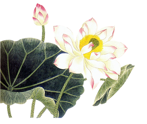 唯美古风水彩手绘荷花荷叶古典水墨莲花素材