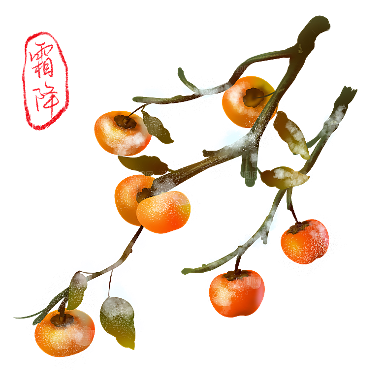 卡通手绘柿子秋季丰收PNG免抠图片素材