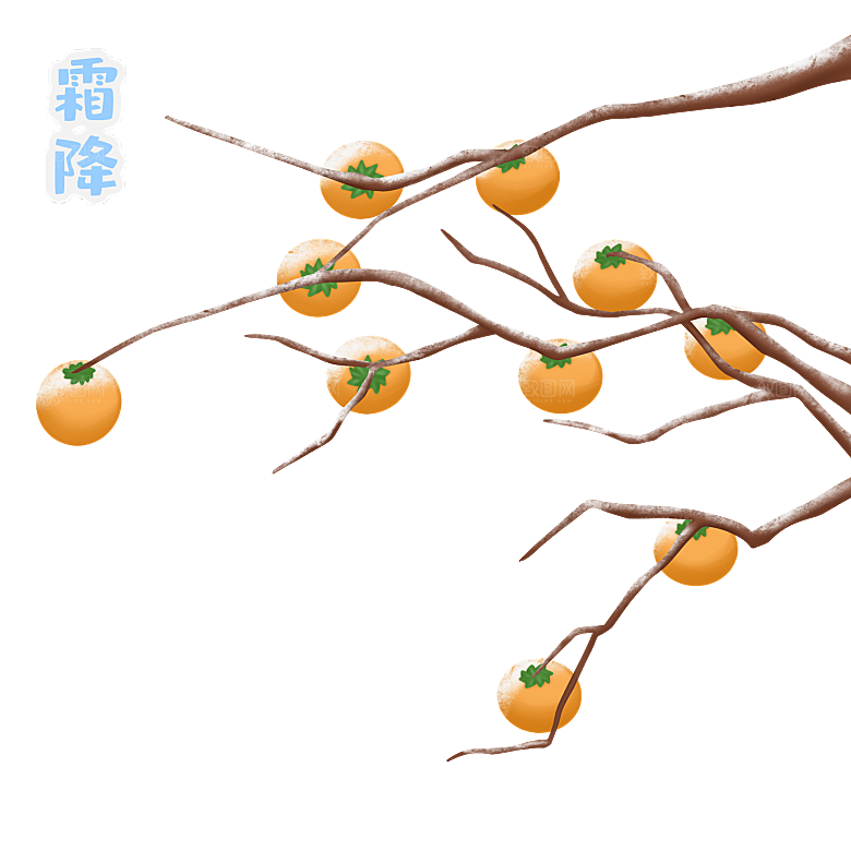 卡通手绘柿子秋季丰收PNG免抠图片素材