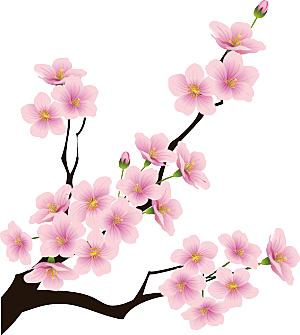 中国风梅花腊梅桃花樱花插画PNG