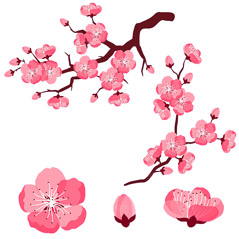 中国风梅花腊梅桃花樱花插画PNG