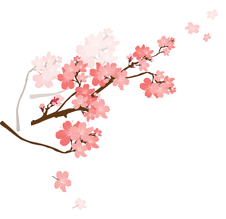 中国风梅花腊梅桃花樱花插画PNG