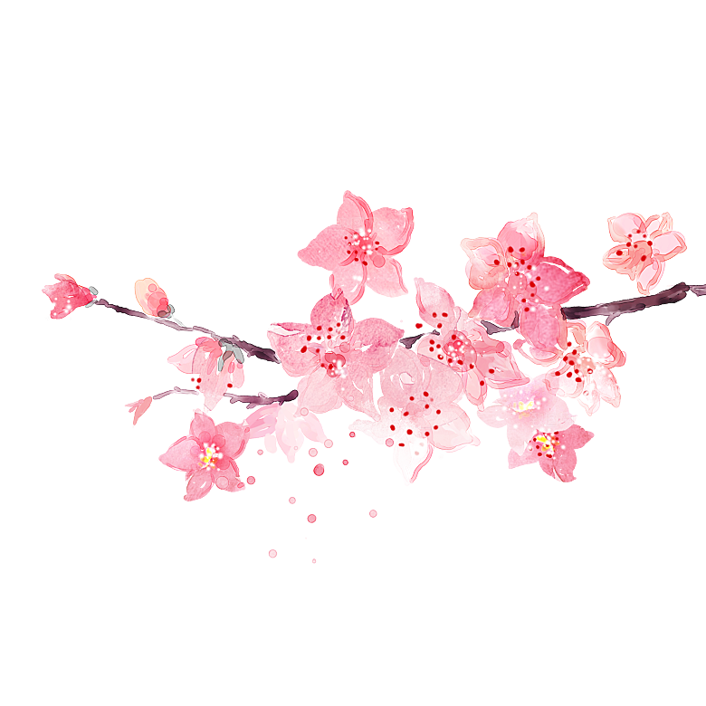中国风梅花腊梅桃花樱花插画PNG