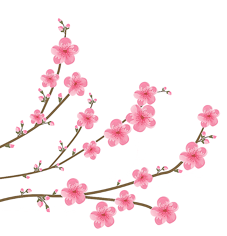中国风梅花腊梅桃花樱花插画PNG