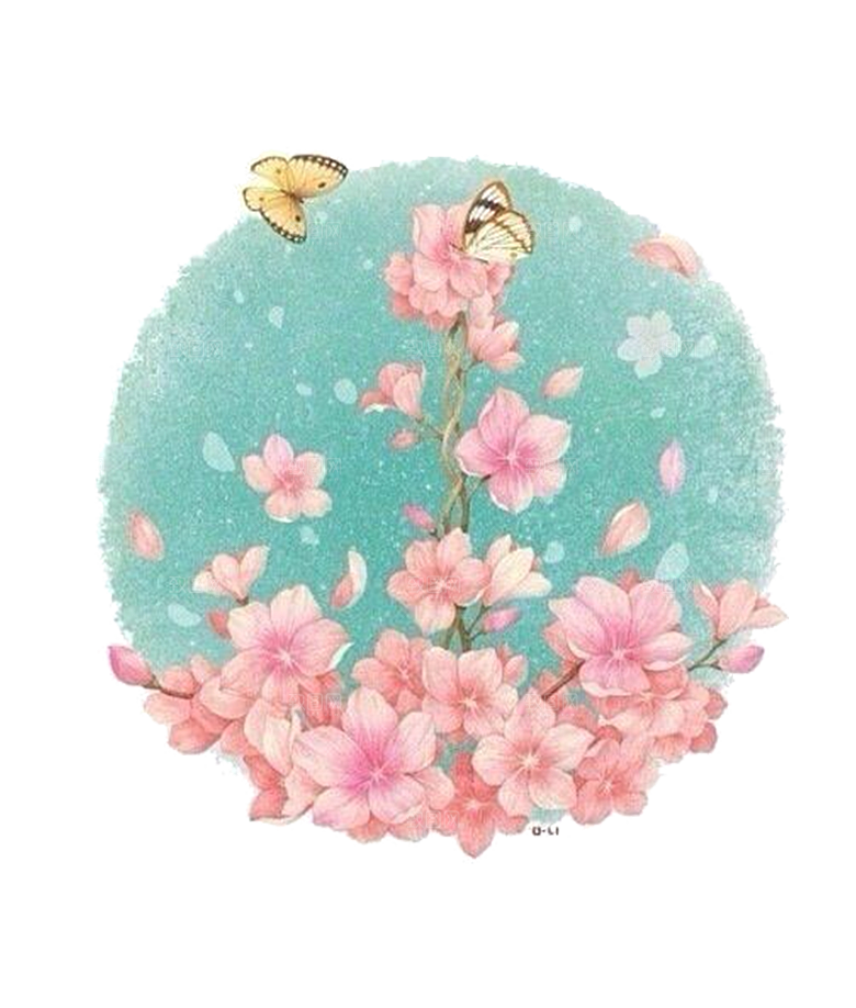 中国风梅花腊梅桃花樱花插画PNG素材