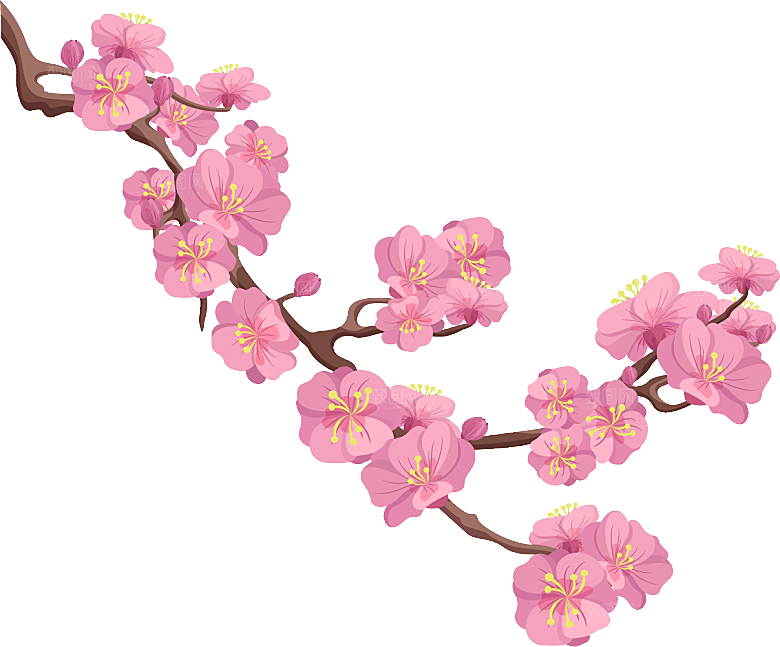 中国风梅花腊梅桃花樱花插画PNG素材