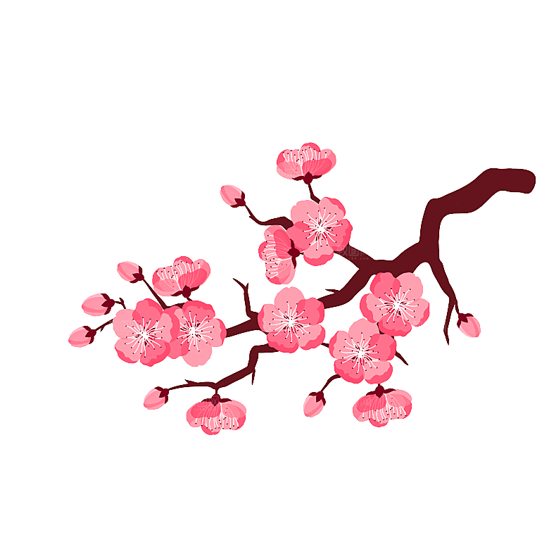 中国风梅花腊梅桃花樱花插画PNG素材