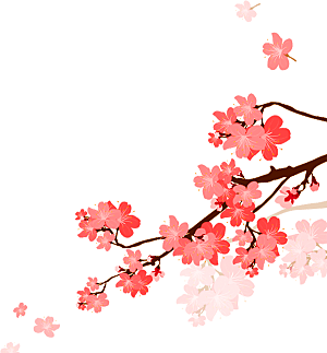 中国风梅花腊梅桃花樱花插画PNG素材