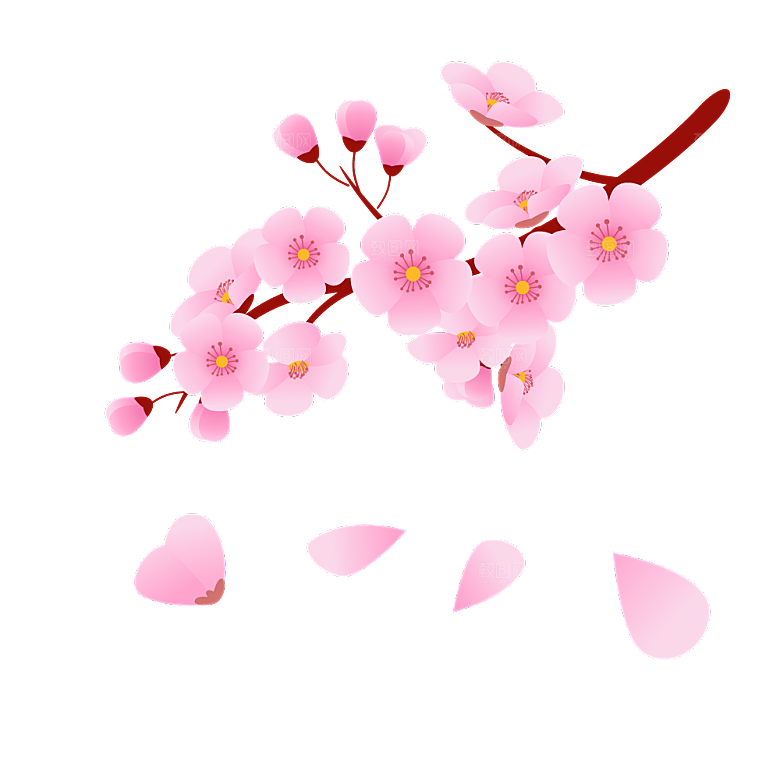 中国风梅花腊梅桃花樱花插画PNG素材