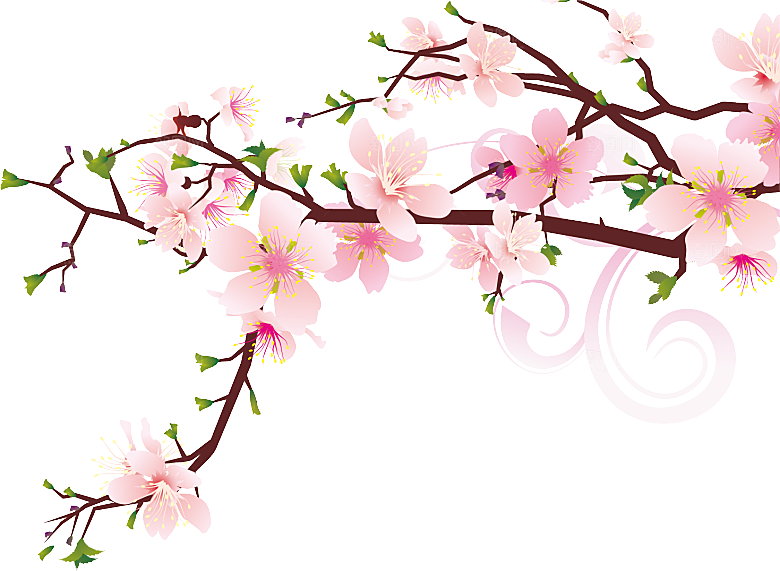中国风梅花腊梅桃花樱花插画PNG素材
