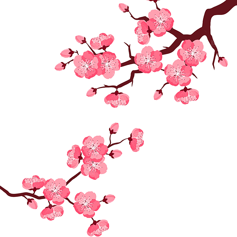 中国风梅花腊梅桃花樱花插画PNG素材