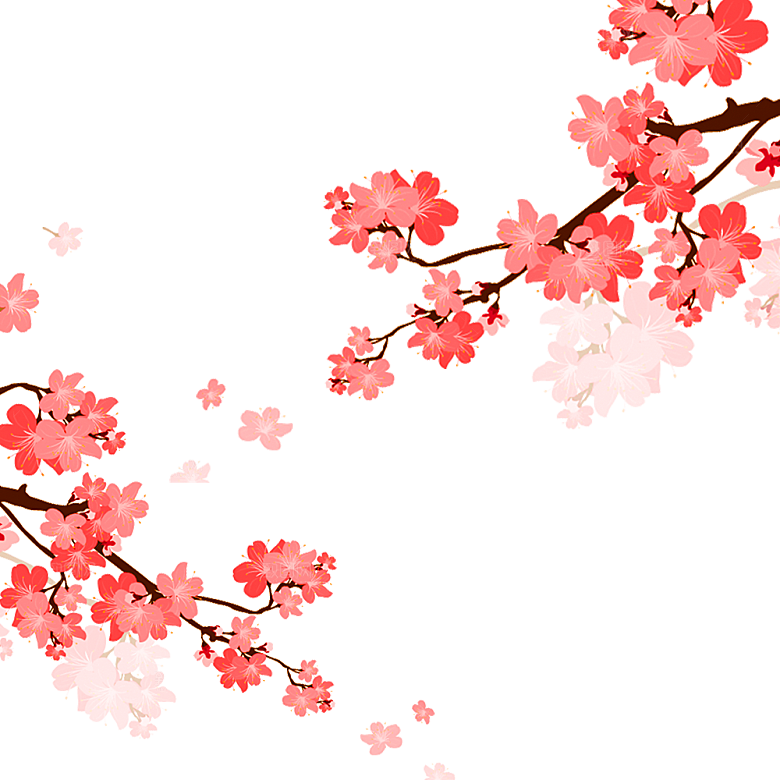 中国风梅花腊梅桃花樱花插画PNG素材