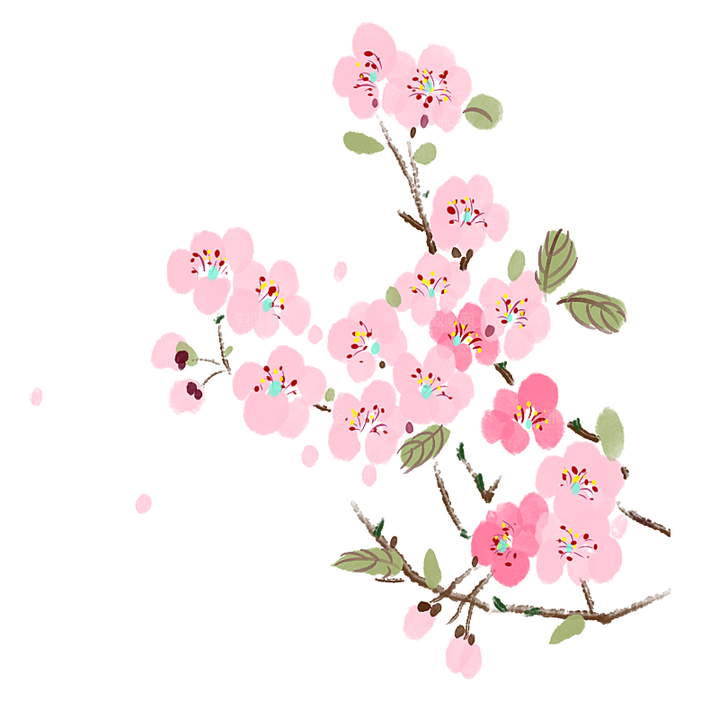 中国风梅花腊梅桃花樱花插画PNG素材