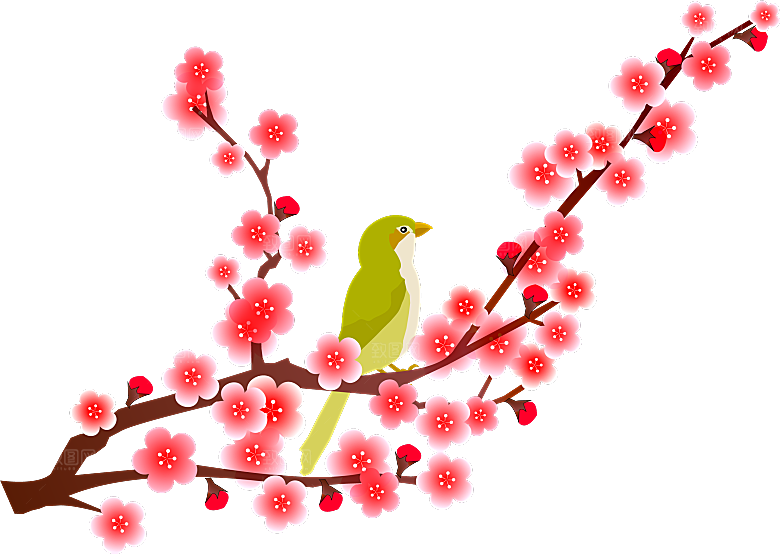 中国风梅花腊梅桃花樱花插画PNG素材