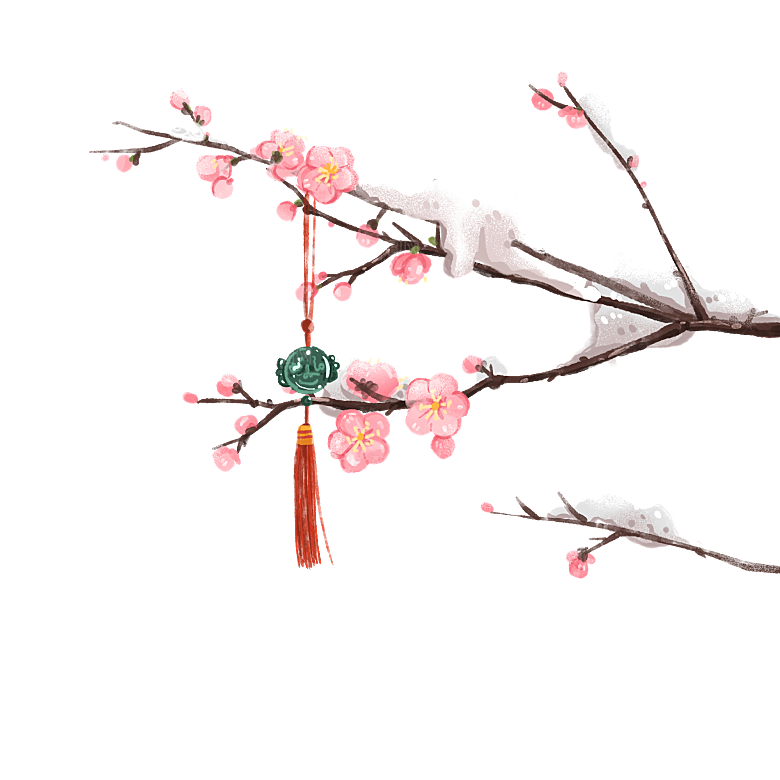 中国风梅花腊梅桃花樱花插画PNG素材