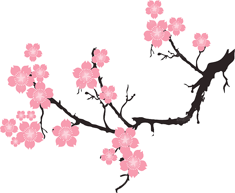 中国风梅花腊梅桃花樱花插画PNG素材