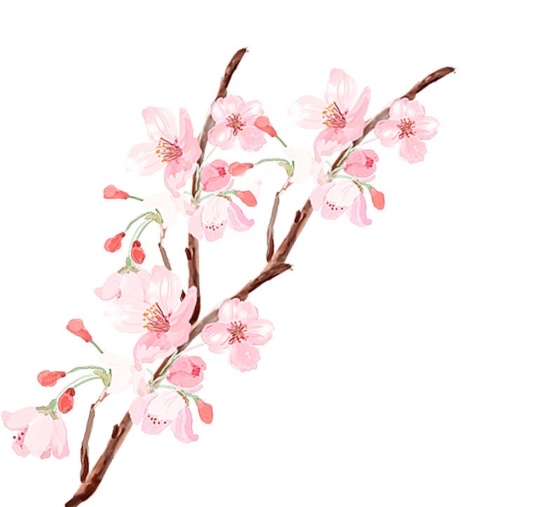 中国风梅花腊梅桃花樱花插画PNG素材