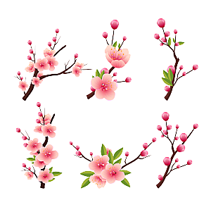 中国风梅花腊梅桃花樱花插画PNG