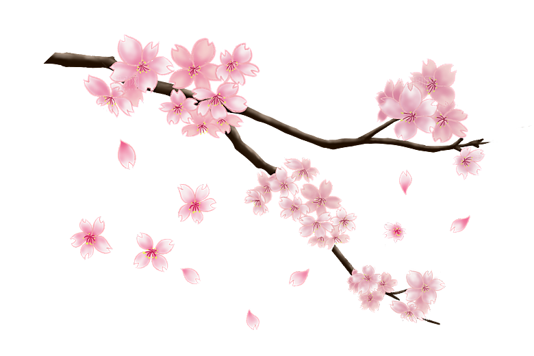 中国风梅花腊梅桃花樱花插画PNG