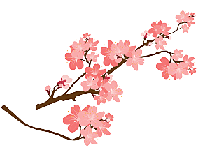 中国风梅花腊梅桃花樱花插画PNG