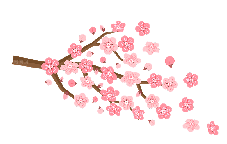 中国风梅花腊梅桃花樱花插画PNG