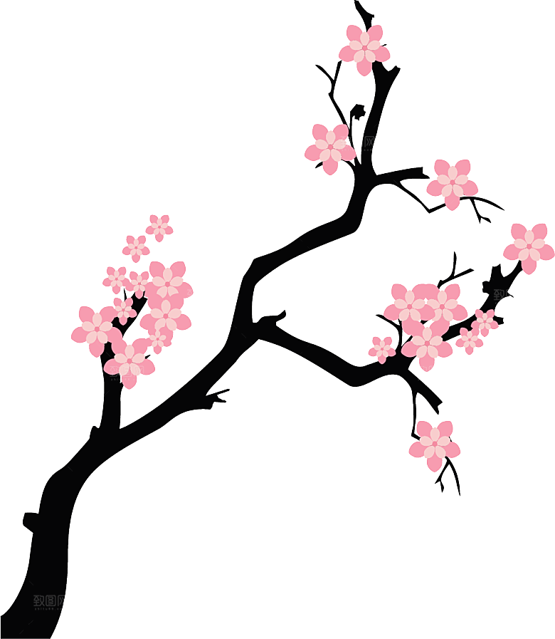中国风梅花腊梅桃花樱花插画PNG