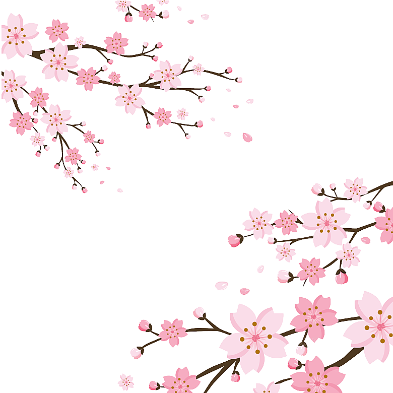 中国风梅花腊梅桃花樱花插画PNG