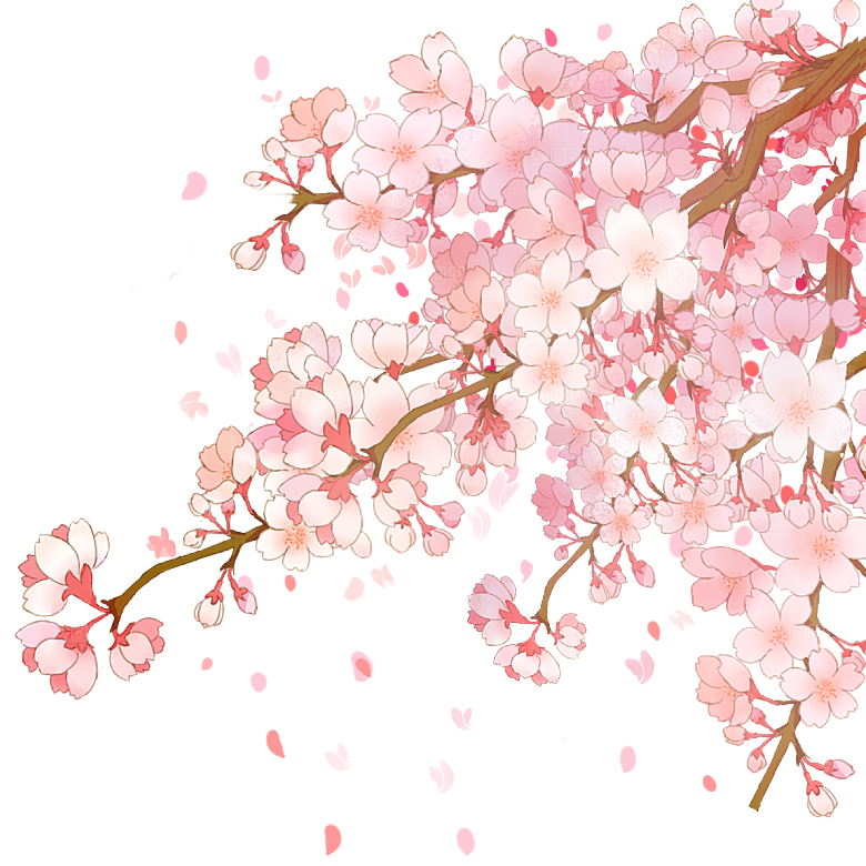 中国风梅花腊梅桃花樱花插画PNG