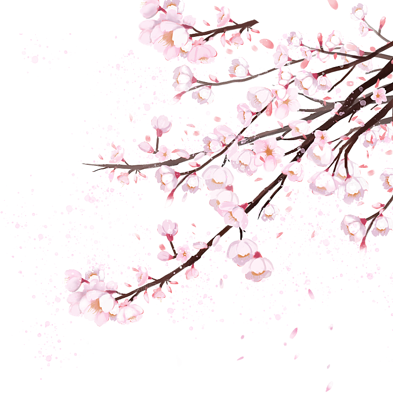 中国风梅花腊梅桃花樱花插画PNG