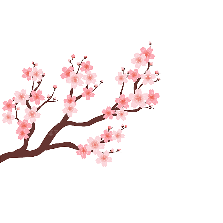 中国风梅花腊梅桃花樱花插画PNG