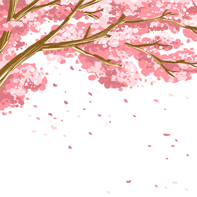 中国风梅花腊梅桃花樱花插画PNG