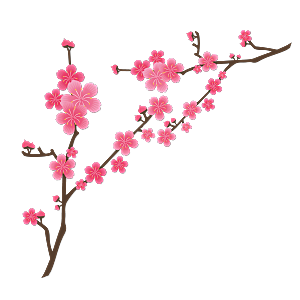 中国风梅花腊梅桃花樱花插画PNG