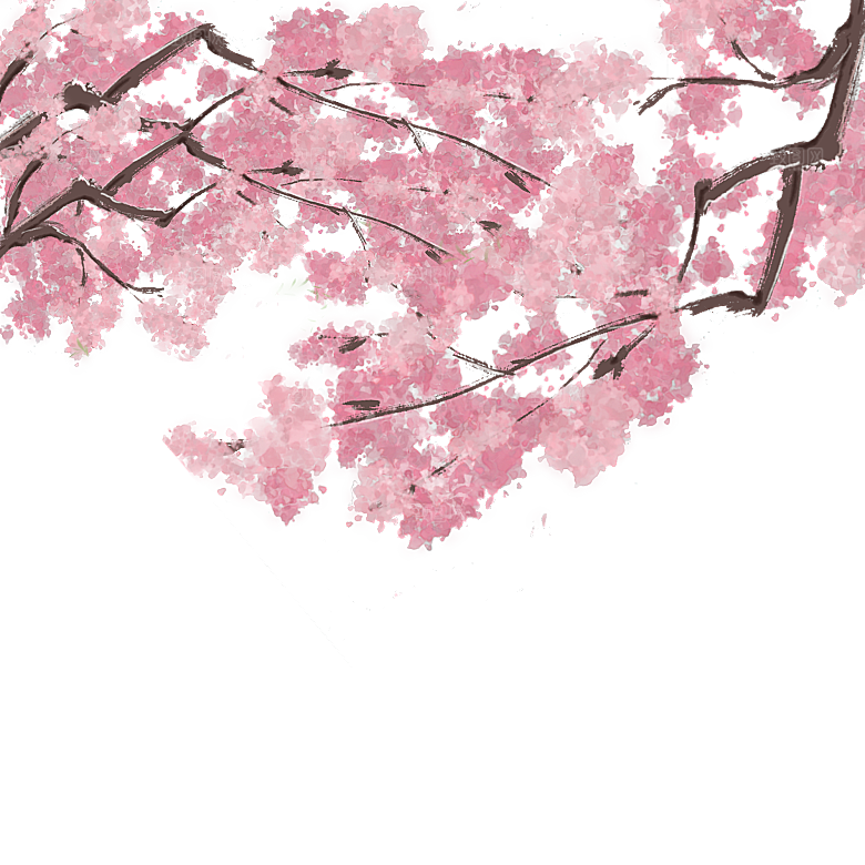中国风梅花腊梅桃花樱花插画PNG素材