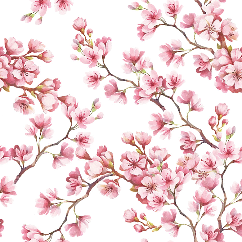 中国风梅花腊梅桃花樱花插画PNG素材