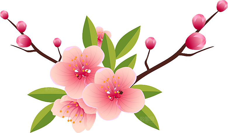 中国风梅花腊梅桃花樱花插画PNG素材