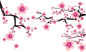 中国风梅花腊梅桃花樱花插画PNG