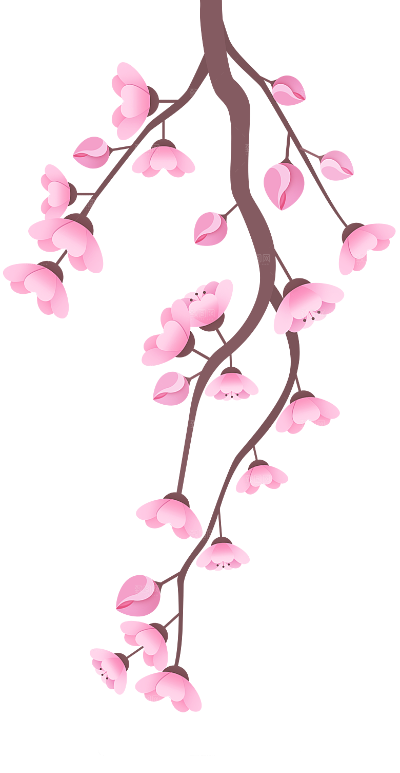 中国风梅花腊梅桃花樱花插画PNG