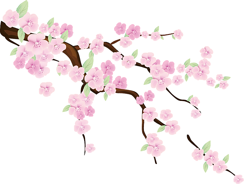 中国风梅花腊梅桃花樱花插画PNG