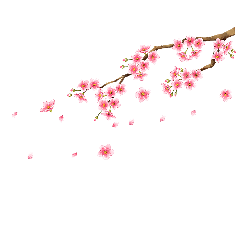 中国风梅花腊梅桃花樱花插画PNG