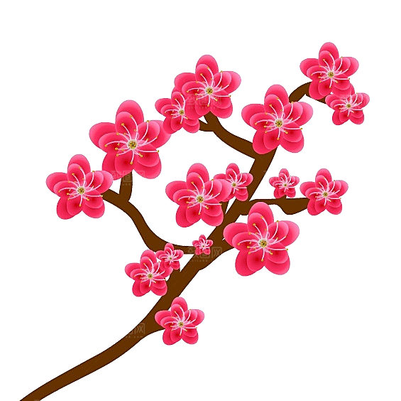 中国风梅花腊梅桃花樱花插画PNG